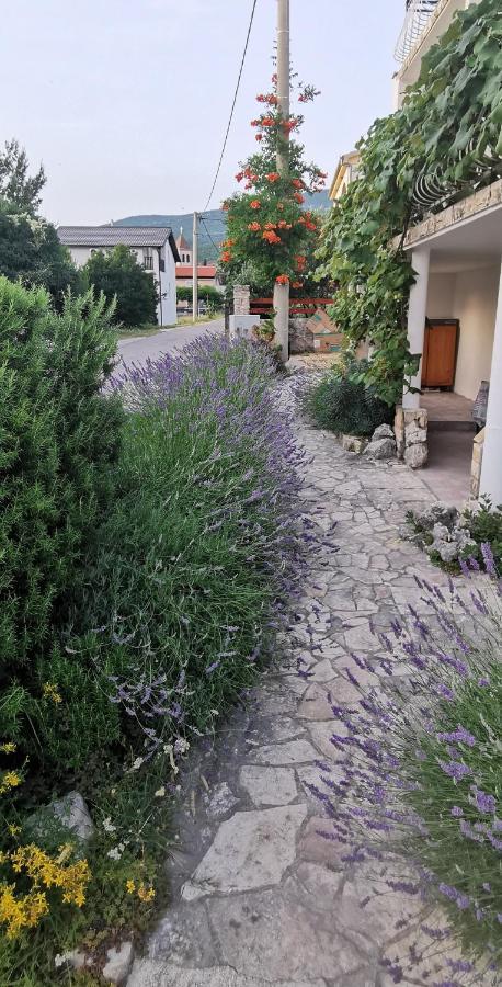 Casa Lavanda - Karin Gornji Gornji Karin Exterior photo